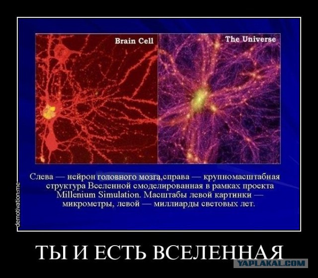 Шокирующее заявление британских ученых: Космоса не существует