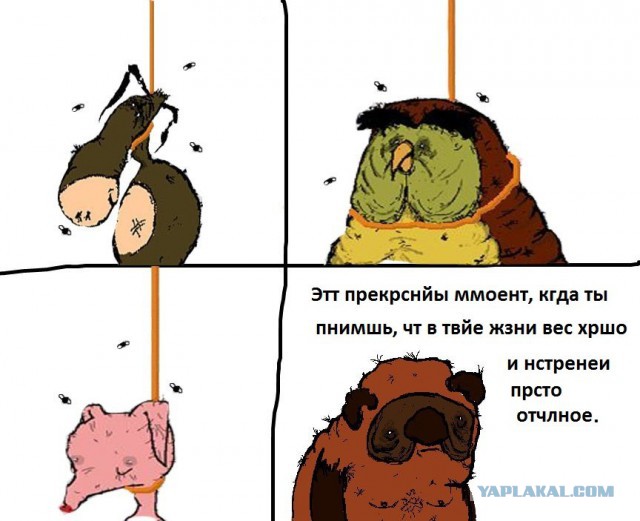 Капелька наркомании