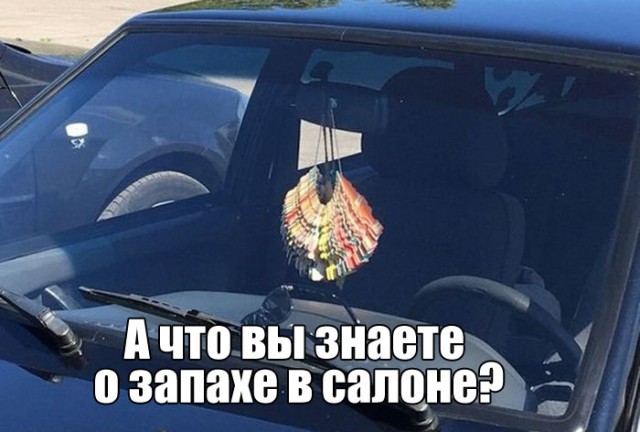 100 картинок для поднятия настроения!