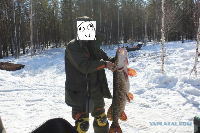 Cазан 22 кг. Для рыбаков.