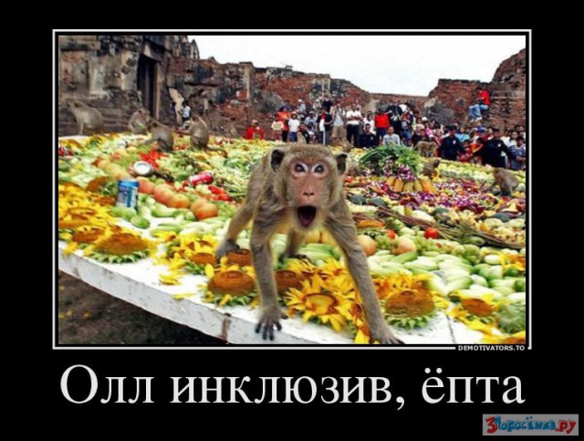 Картинки для настроения в пятницу.