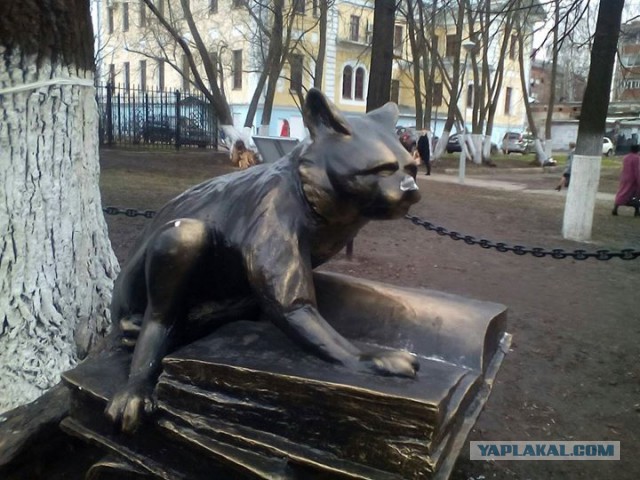 Жестко наказали горе-парковщика жители Краснодара