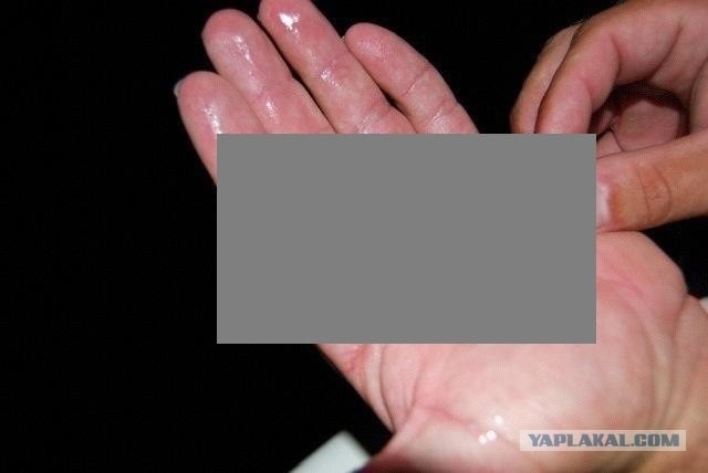 Парусник на ладони