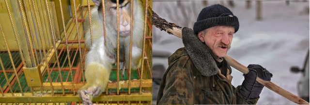 Контактный зоопарк (0+)