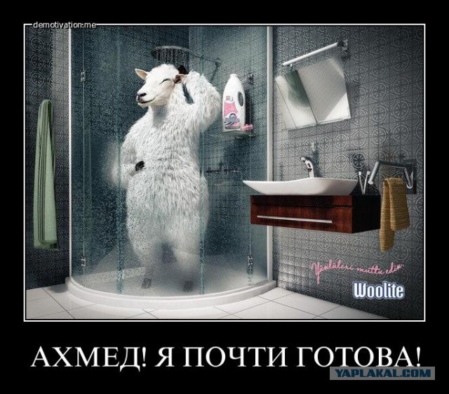 "Все в крови": гости хамской свадьбы толпой избили москвича на дороге