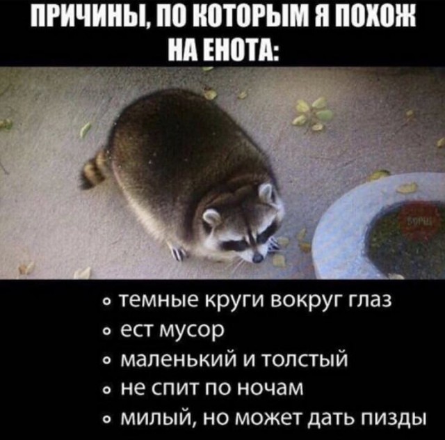 Немного картинок для настроения 06.12.19