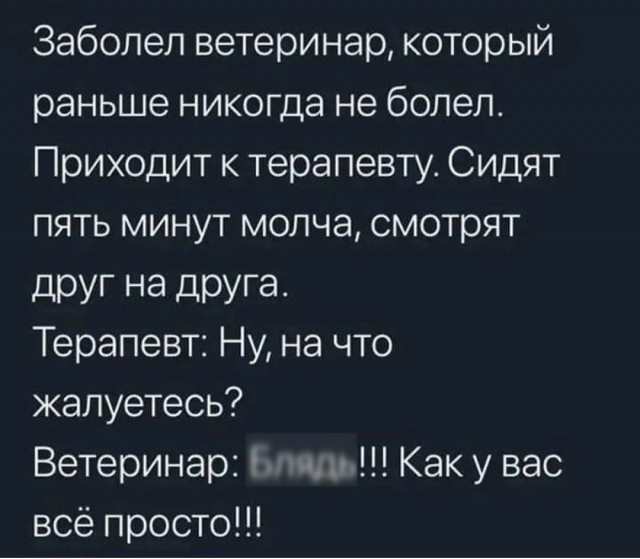 Ветеринар вернувший радость собаке с параличом
