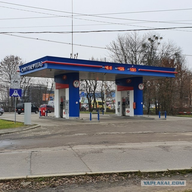 Калининград зимой!
