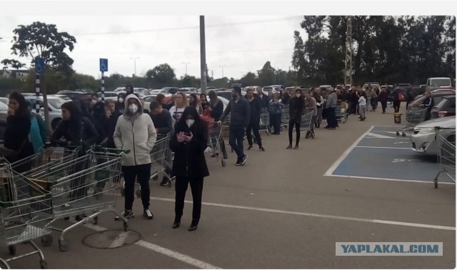 А тем временем в краснодарском крае беда с пропусками на транспорт