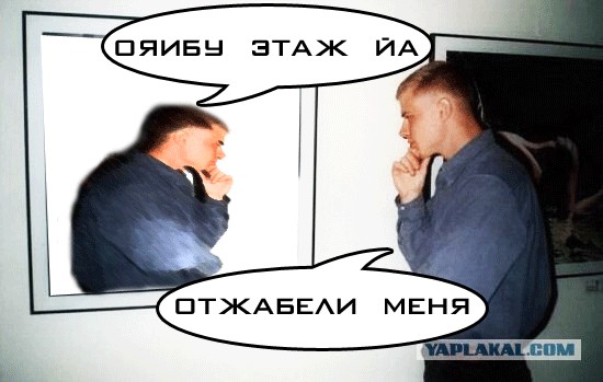 Фотожаба: Молодой ценитель