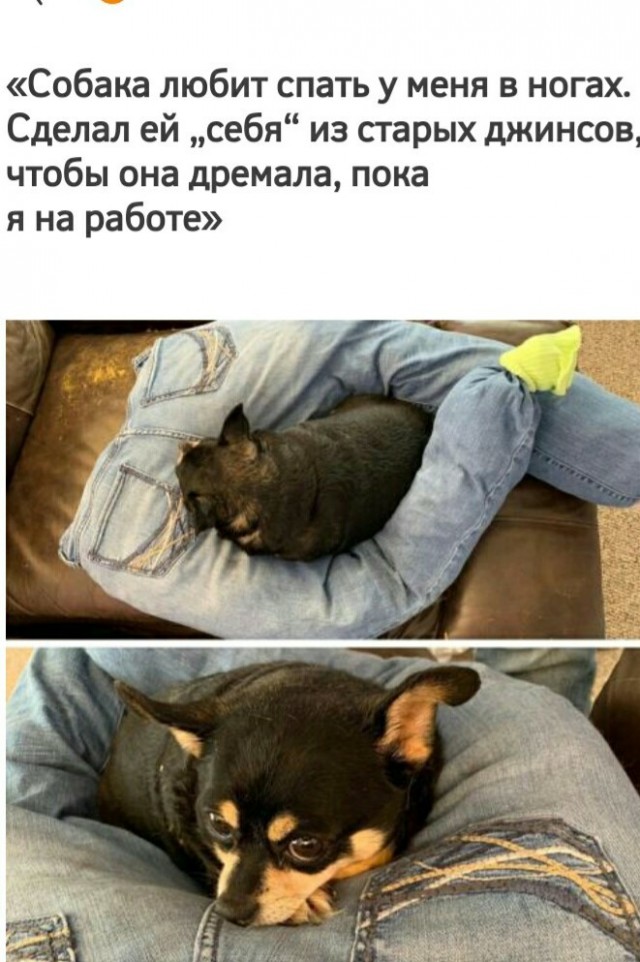 Так себе картинки 09.06.20