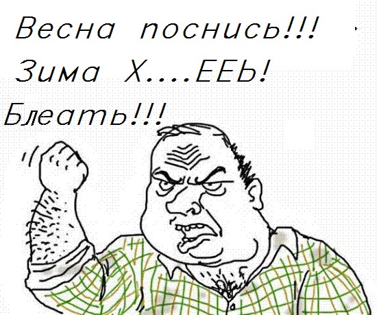 Будь мужиком, скажи что думаешь!
