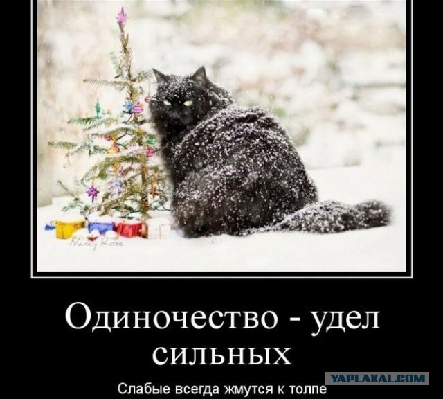 Бодрое 1 Января 2021 года