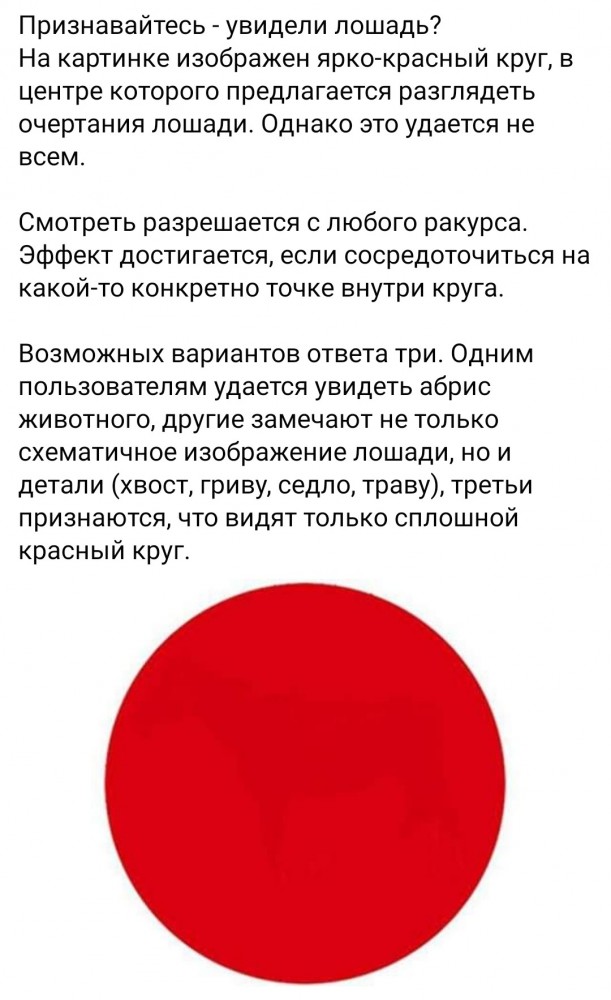 Бредзона 05.01.2021