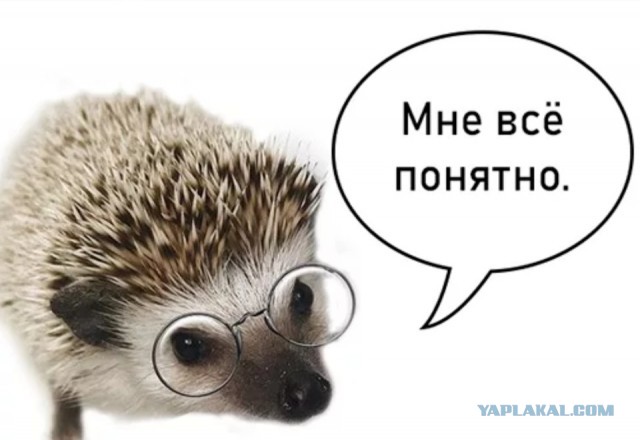 Пенсионерам отменили бесплатный проезд, а парковки у больниц сделали платными