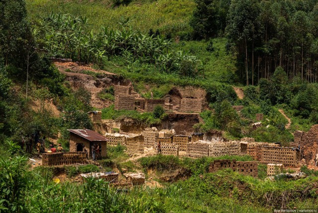 Уганда: самая настоящая Африка с гориллами и носорогами!