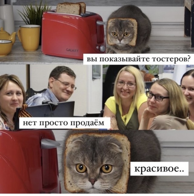 Картинки и мемы для настроения 17.08.2021