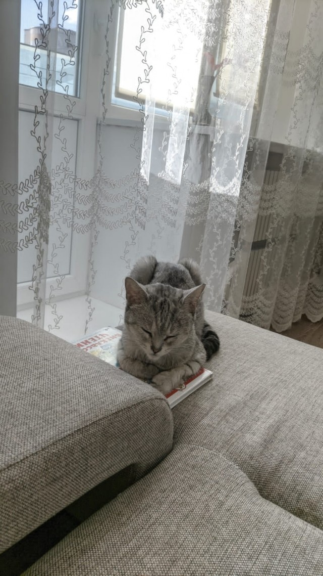 Вот и я стал рабом