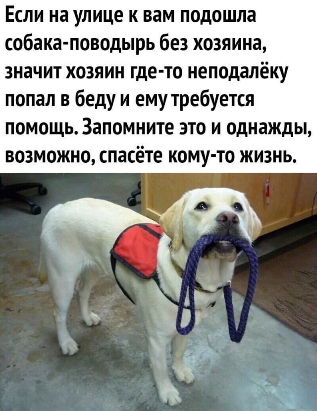Картинки на среду 03.11.2021. Разные