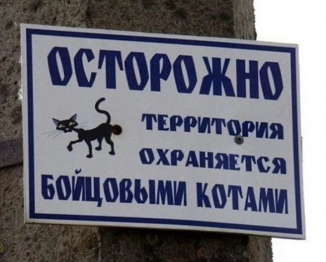 Так себе картинки 15.11.21