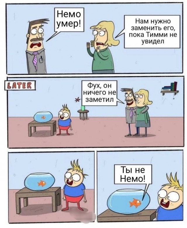 Бредзона 24.12