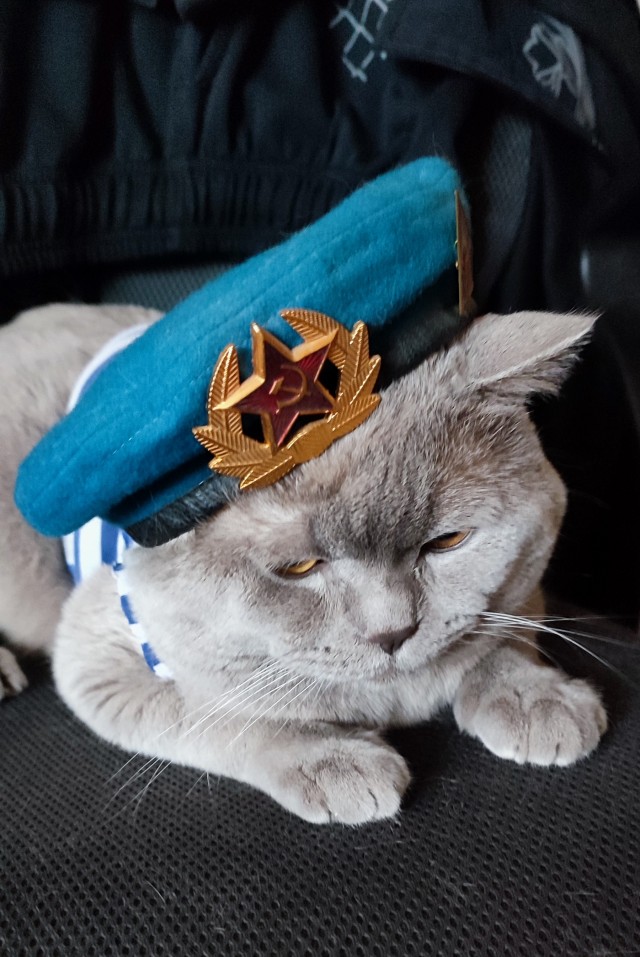 А у вас есть домашние питомцы с особенностями?