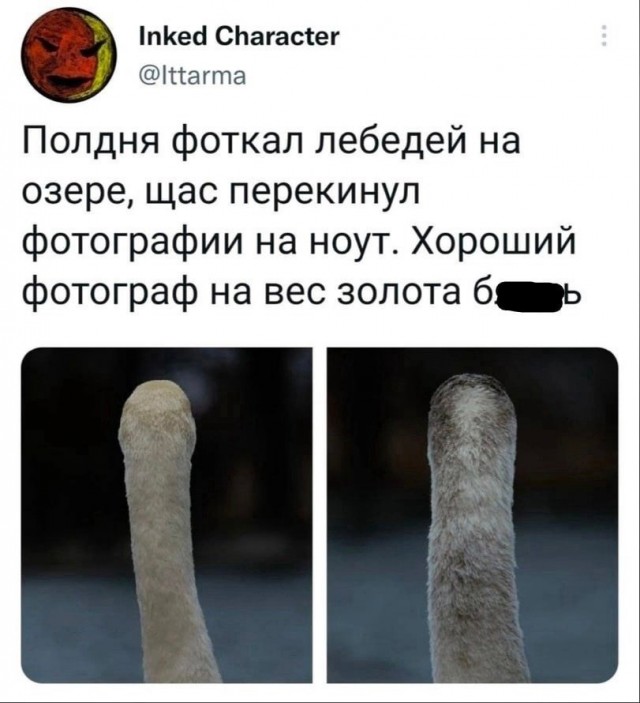 Так себе картинки 31.03.22