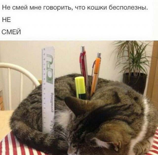 50 оттенков серого.  Vol. 6 Или самосвал баянов.  50 штук.