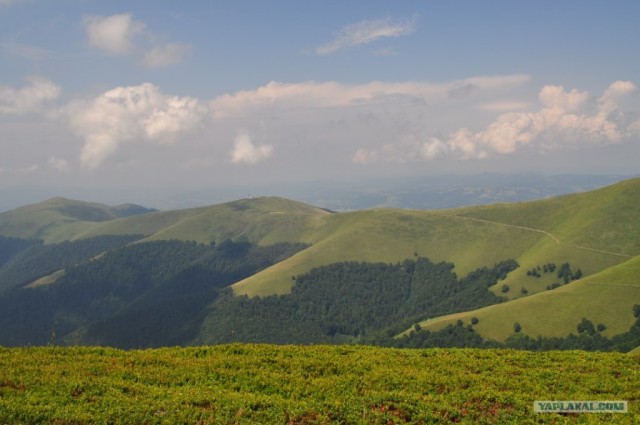 Карпаты 2011