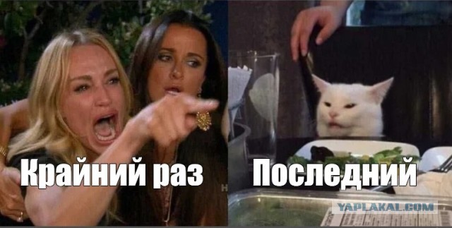Красивые близняшки!