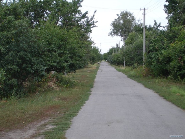 Живописнейшие дороги мира