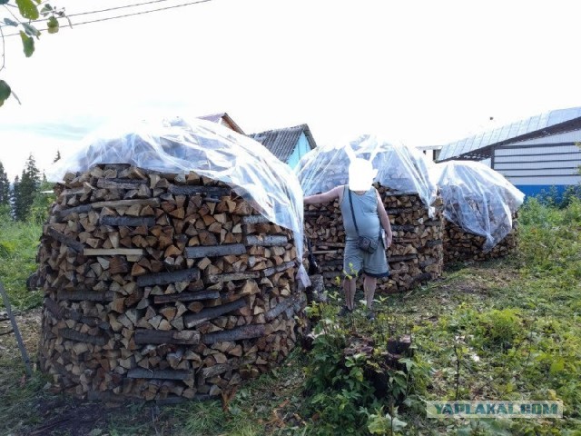 Как я дровник запилил
