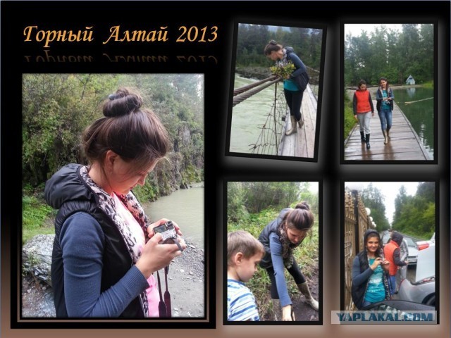 На Алтае, на лошадях и в ужасе⁠⁠