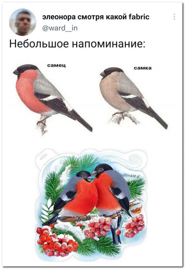 Немного картинок для настроения - 127