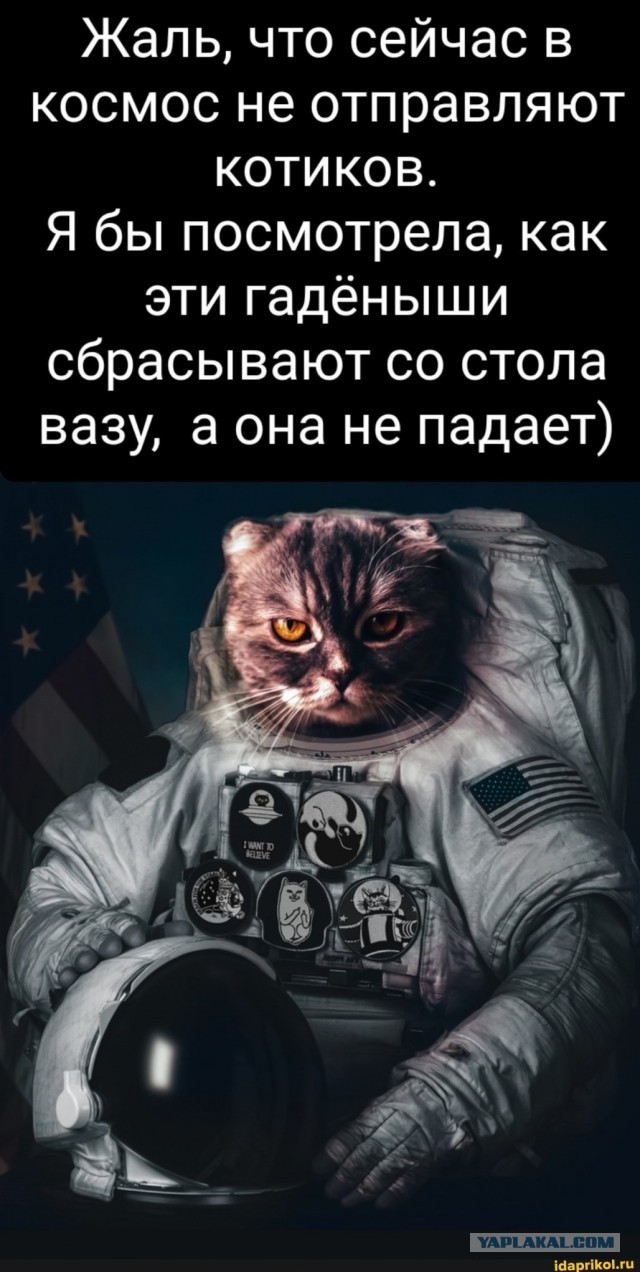 Не пиз**астрадание, но не понимание этих сорокапятилетних "девушек". Не кочет! Из Жизни!