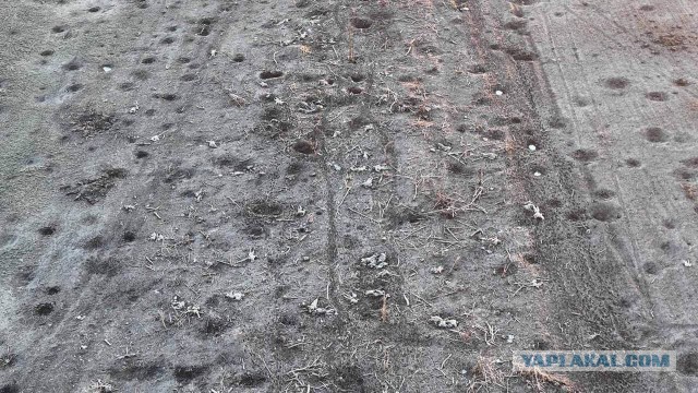 В ЛНР узнали о полученном ВСУ приказе на отступление из Соледара в ближайшее время