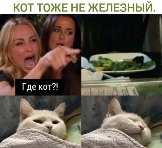 Картинки и мемы для настроения - 137