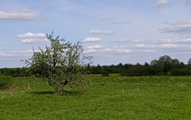 Любовные желания пьяных женщин