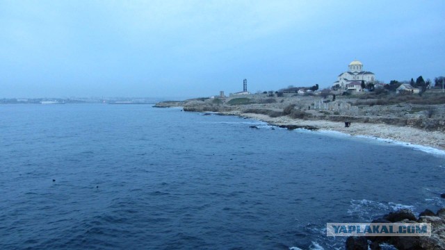 Крым в феврале или "Не стреляйте в белых лебедей!"