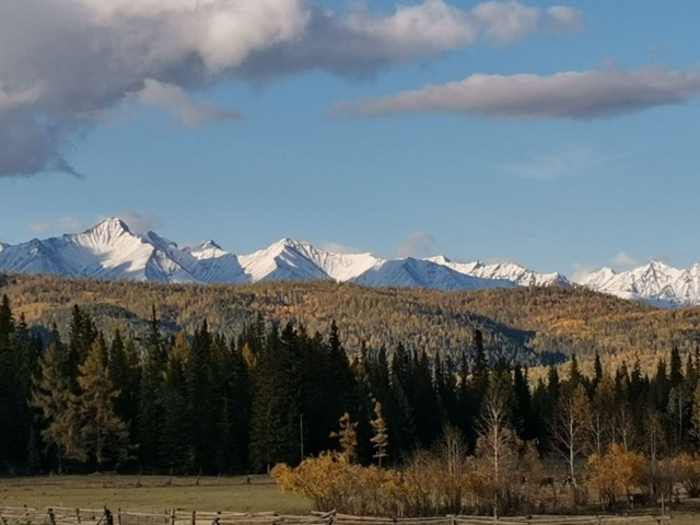 Краски осени