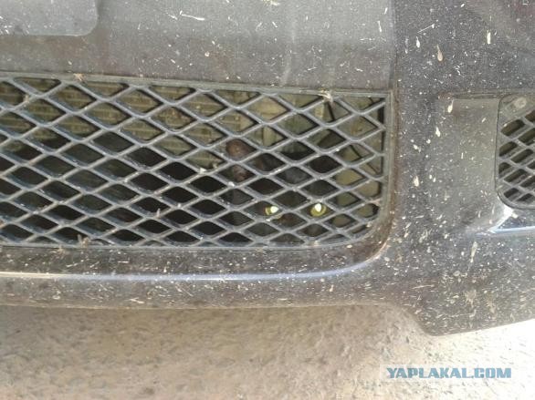 Во вторник. Нарочно не придумаешь ...