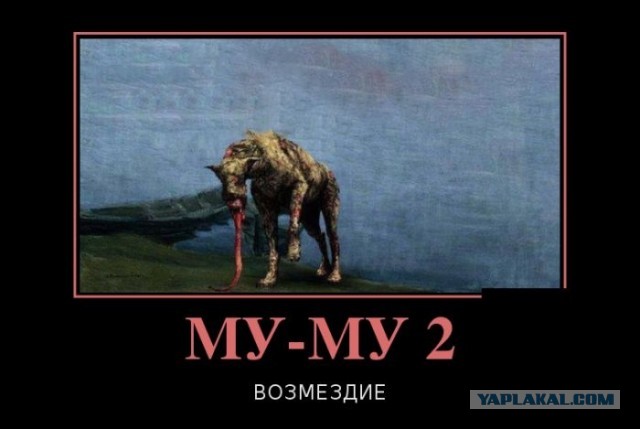 Почему Герасим так поступил?
