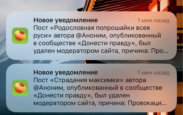 Голубов, бросай Пахачи и в Питер
