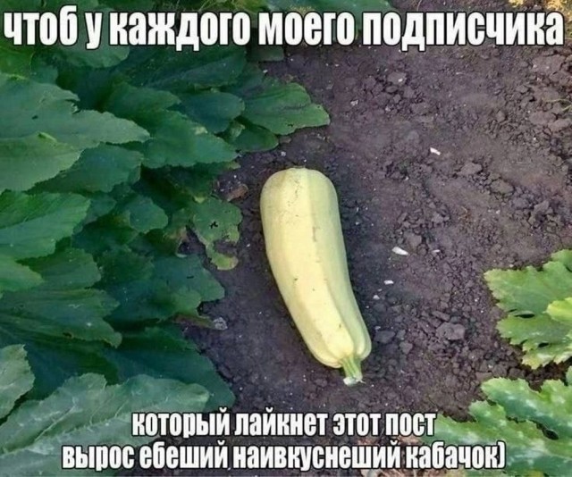 Баянчики