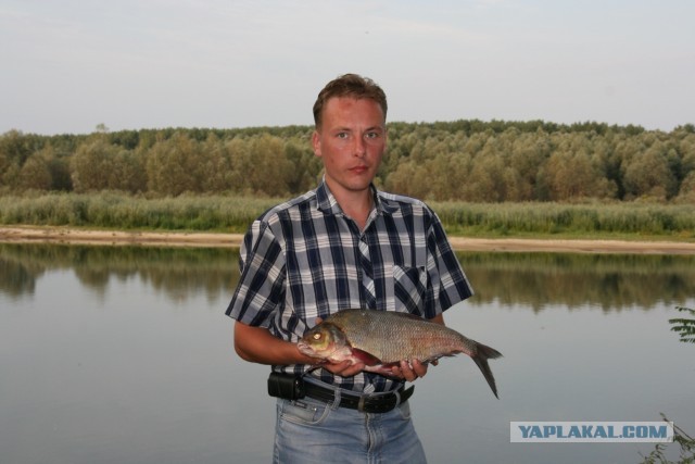 Ловля голавля на майского жука.