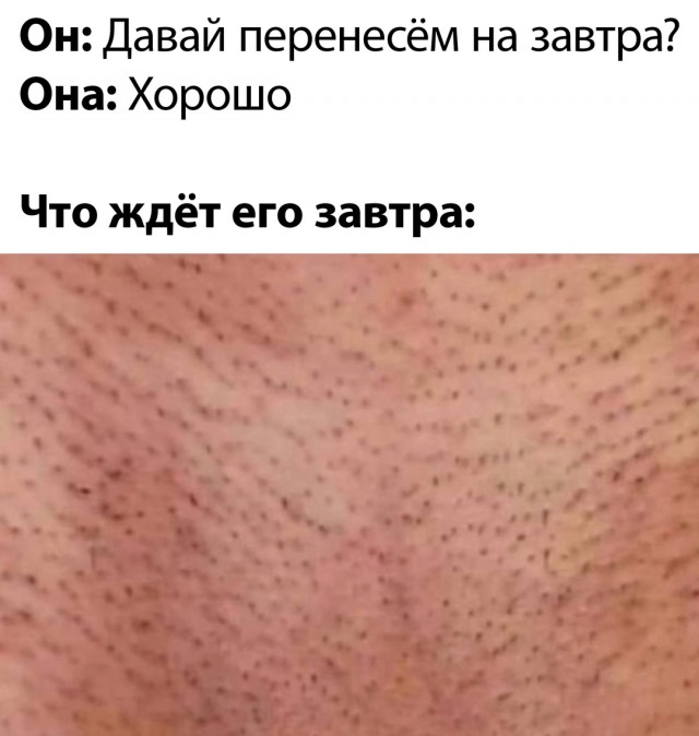 Весёлый полтишок 27.09.24