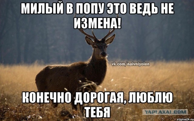 Пока парень в армии девушка живет с другим мужиком на его деньги. Что это грех или “нормальное женское” поведение ?