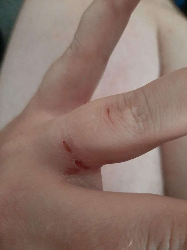 18 любопытных примеров, которые наглядно и неожиданно отвечают на вопрос: «Что будет, если…»
