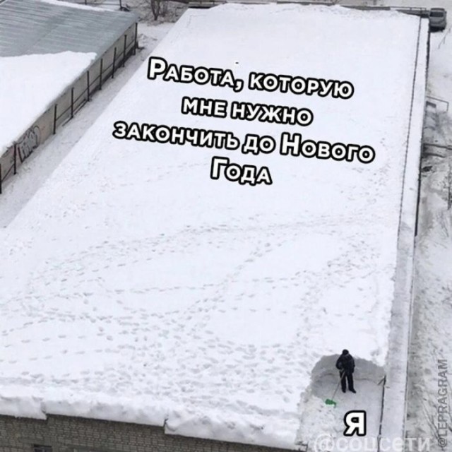 Веселые картинки в пятницу (10.01)