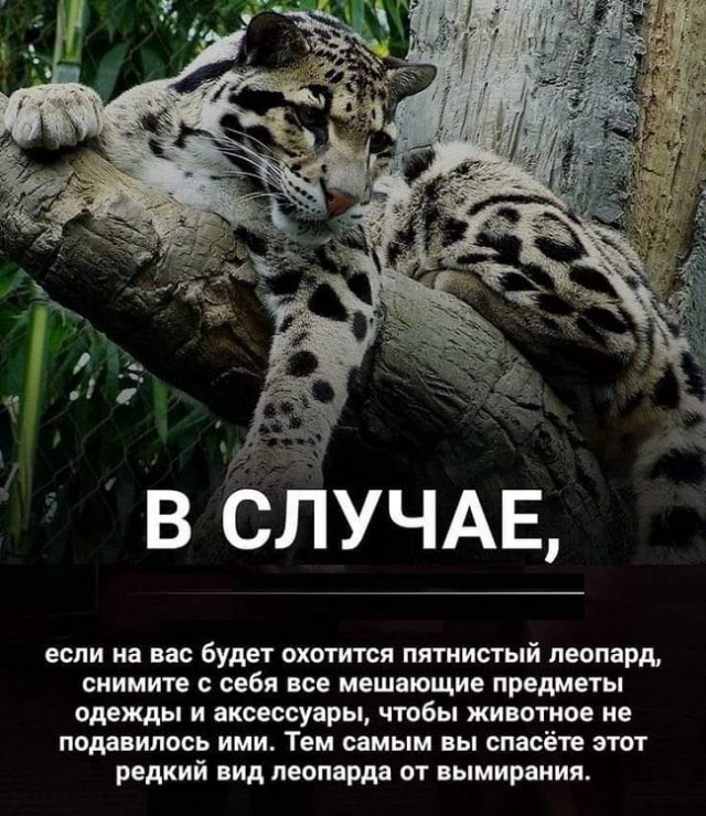 Картинки разные с надписями и без